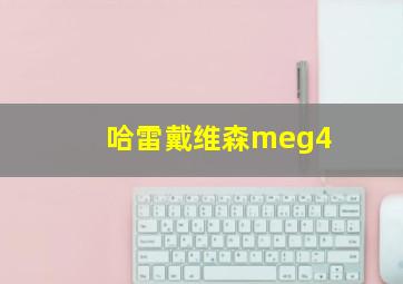 哈雷戴维森meg4