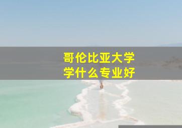 哥伦比亚大学学什么专业好