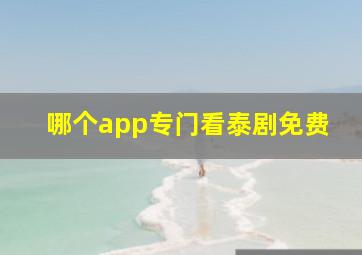 哪个app专门看泰剧免费