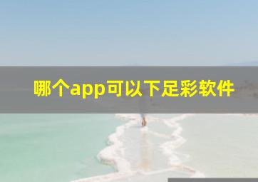 哪个app可以下足彩软件