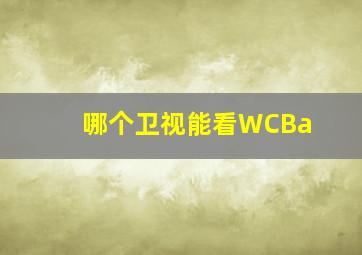 哪个卫视能看WCBa