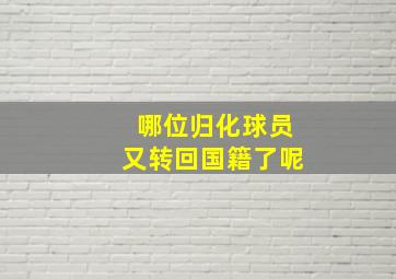 哪位归化球员又转回国籍了呢