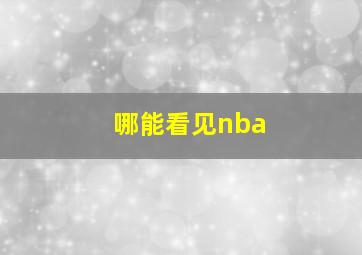 哪能看见nba