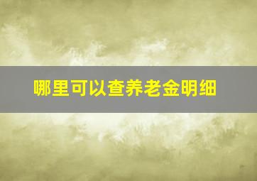 哪里可以查养老金明细