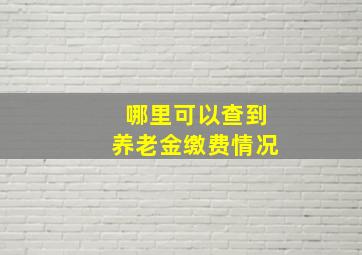 哪里可以查到养老金缴费情况