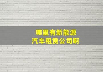 哪里有新能源汽车租赁公司啊