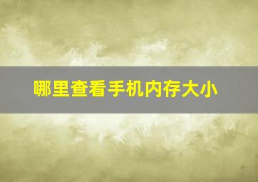 哪里查看手机内存大小