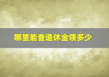 哪里能查退休金领多少