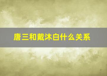 唐三和戴沐白什么关系