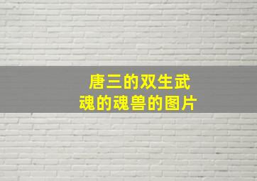 唐三的双生武魂的魂兽的图片