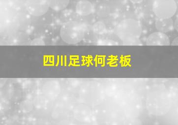 四川足球何老板