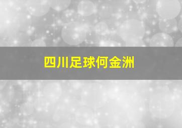 四川足球何金洲