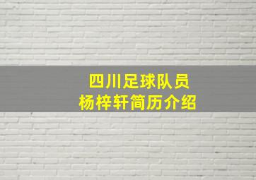 四川足球队员杨梓轩简历介绍