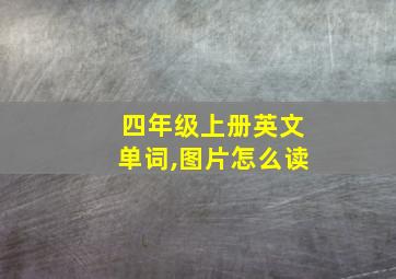 四年级上册英文单词,图片怎么读