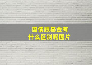 国债跟基金有什么区别呢图片