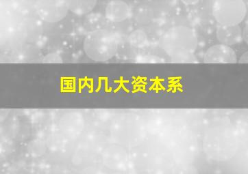 国内几大资本系