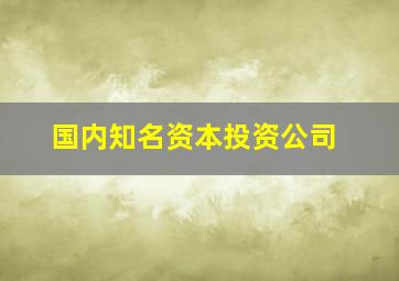 国内知名资本投资公司