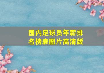 国内足球员年薪排名榜表图片高清版