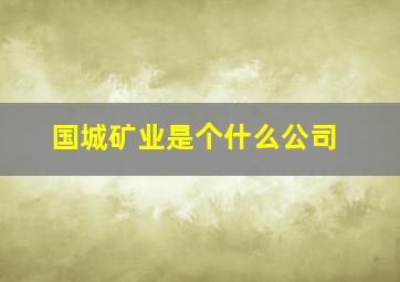 国城矿业是个什么公司