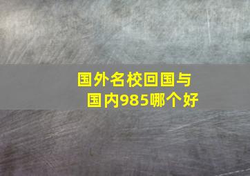 国外名校回国与国内985哪个好