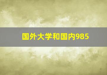 国外大学和国内985