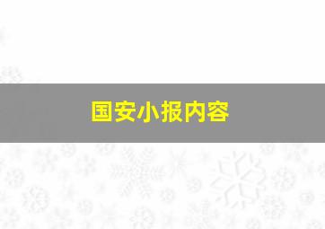 国安小报内容