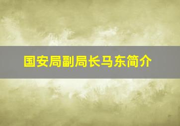 国安局副局长马东简介