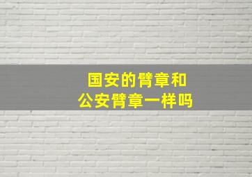 国安的臂章和公安臂章一样吗