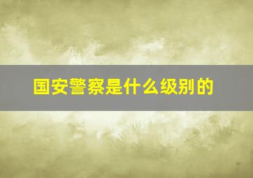 国安警察是什么级别的