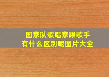 国家队歌唱家跟歌手有什么区别呢图片大全