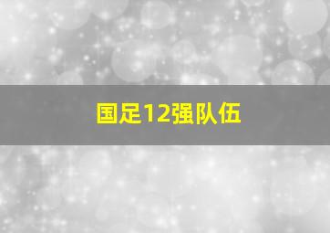 国足12强队伍