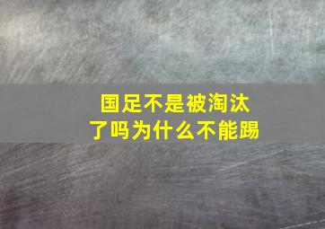 国足不是被淘汰了吗为什么不能踢