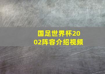 国足世界杯2002阵容介绍视频