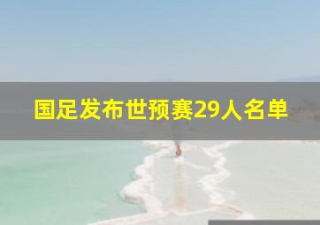 国足发布世预赛29人名单