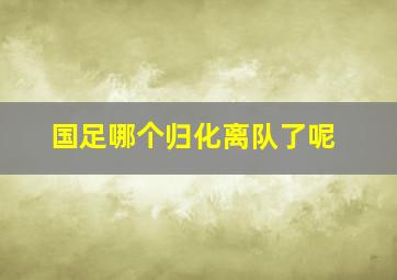 国足哪个归化离队了呢