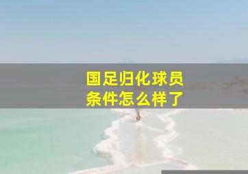 国足归化球员条件怎么样了