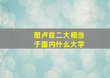 图卢兹二大相当于国内什么大学