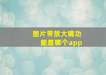 图片带放大镜功能是哪个app