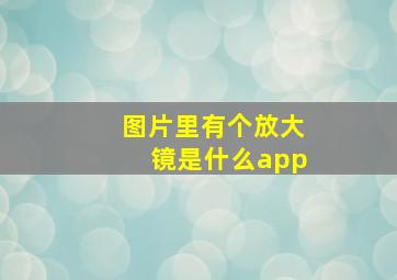 图片里有个放大镜是什么app