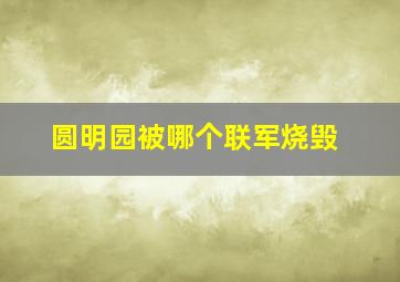 圆明园被哪个联军烧毁