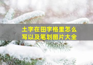 土字在田字格里怎么写以及笔划图片大全