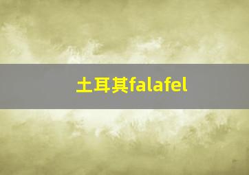 土耳其falafel