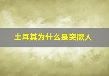 土耳其为什么是突厥人