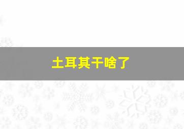 土耳其干啥了