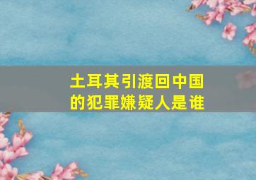 土耳其引渡回中国的犯罪嫌疑人是谁