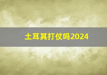 土耳其打仗吗2024