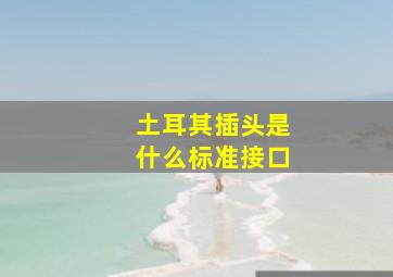 土耳其插头是什么标准接口