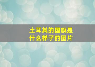 土耳其的国旗是什么样子的图片