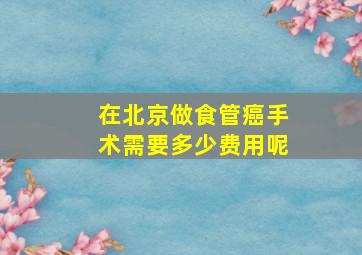 在北京做食管癌手术需要多少费用呢