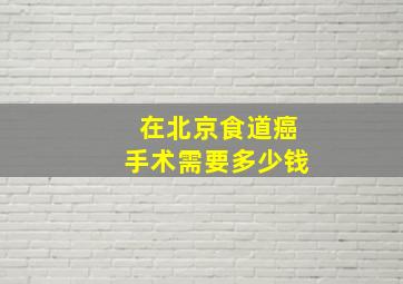 在北京食道癌手术需要多少钱